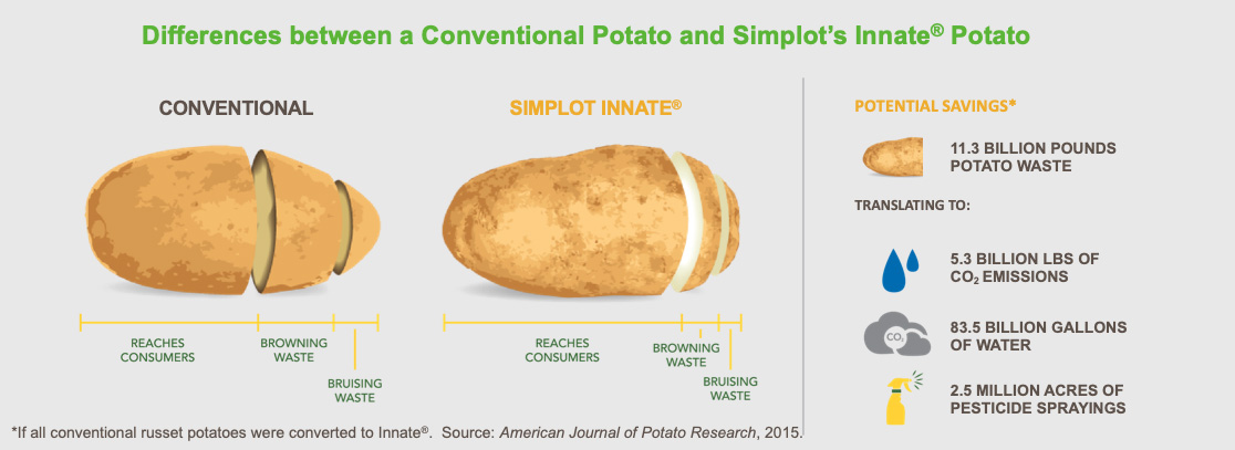 Conventional Potato vs. Innate